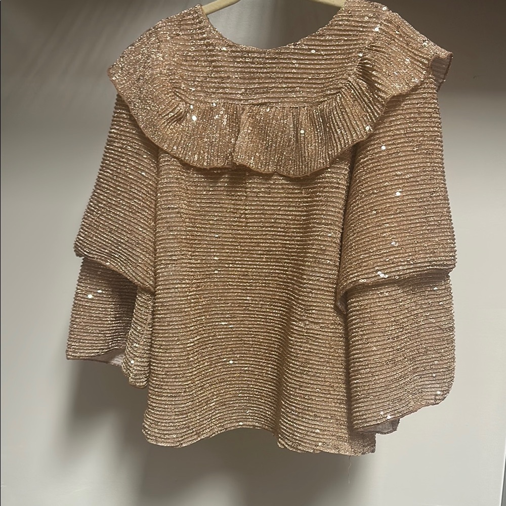 Girls Shimmering Sequin Ruffle Top
